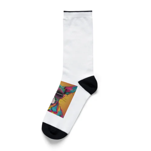 ファンキー犬 Socks