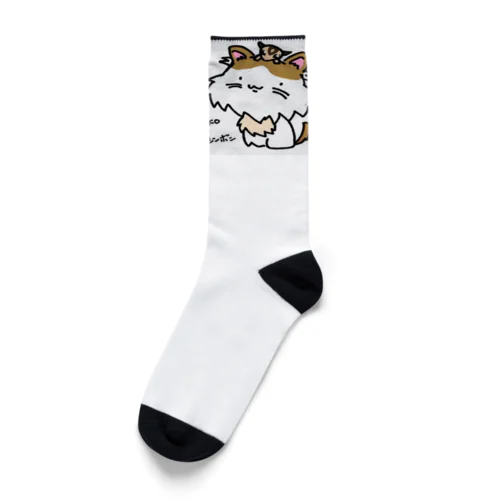 猫ハリ家の主役達 Socks