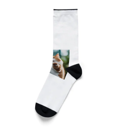 ぽちゃ猫C Socks