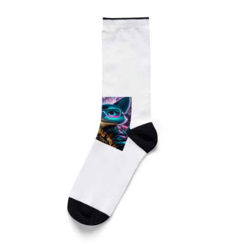 疾走するサイバースペースで、クールなにゃんこたちが都市を舞台に華麗に活躍！ Socks