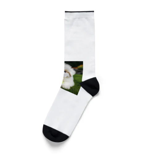 大きくてふわふわ！ Socks