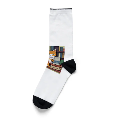 読書猫さん Socks