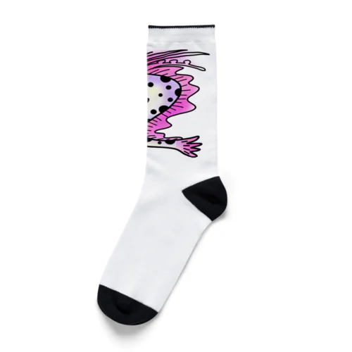 リュウグウノツカイ Socks