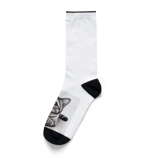 おねだり猫 Socks