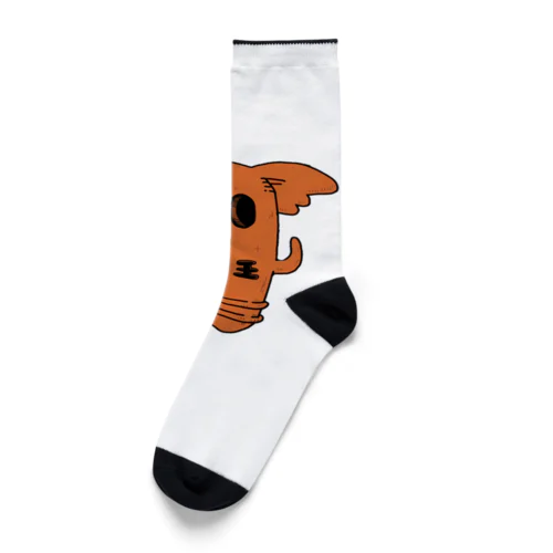 doluchanハニ王 Socks