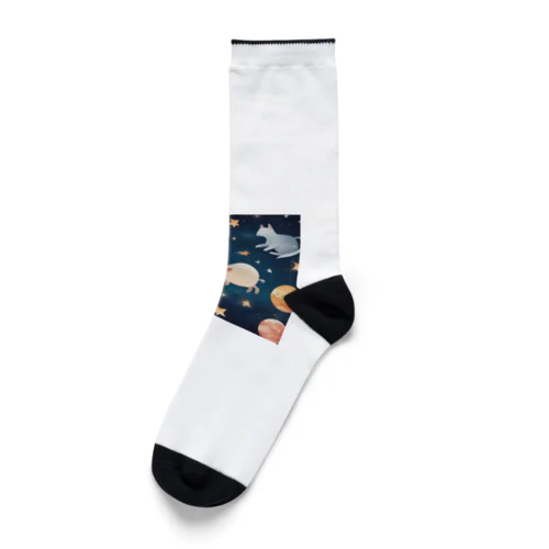 宇宙の楽園で共に輝く、かわいい動物たち Socks