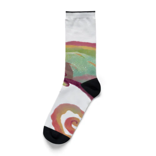 カメレオン Socks