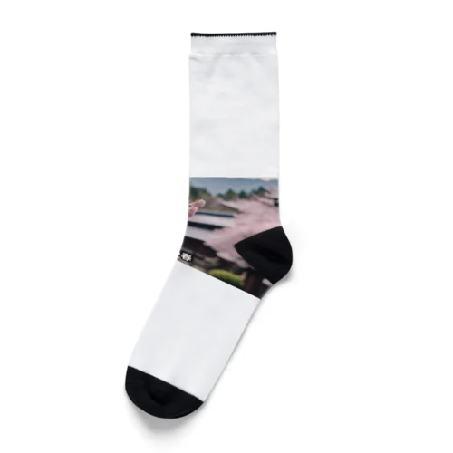 JAPAN SAKURA Socks