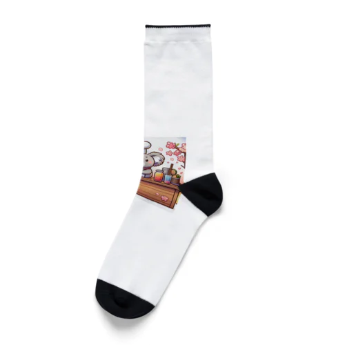 コアラ Socks