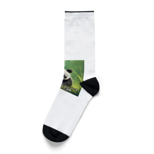 パプルくん芝生で寝転んでみた Socks