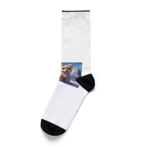 仁王立ちの犬 Socks