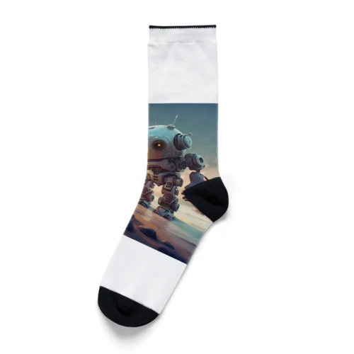 tomodachi Socks