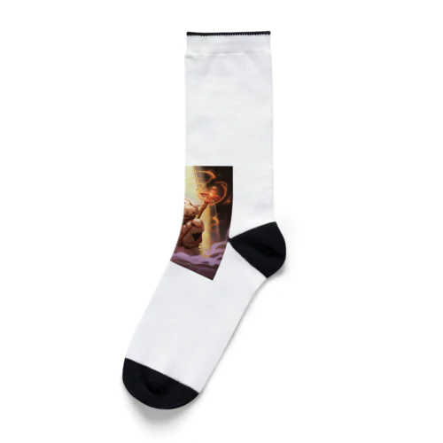 魔法犬 ハク Socks