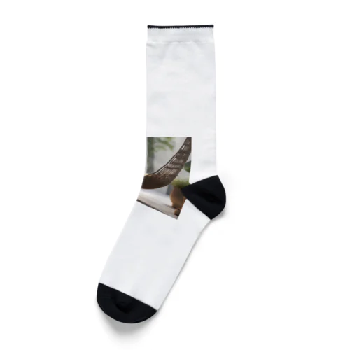 ハンモックでくつろいでいる猫 Socks