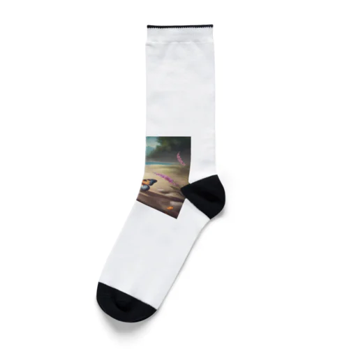 海岸の蝶 Socks