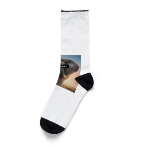 Who are you?Elephant Socks