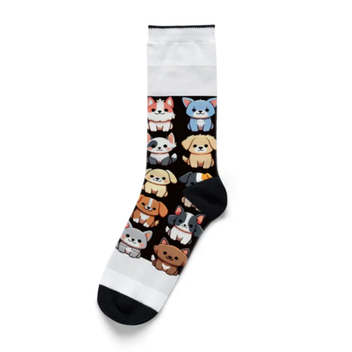 イッヌ大集合 Socks