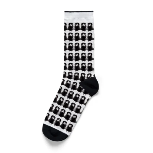 カラスのノノラ Socks