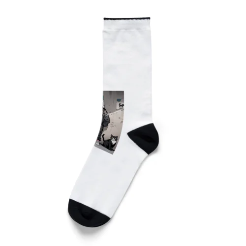 ヘルメット猫 Socks