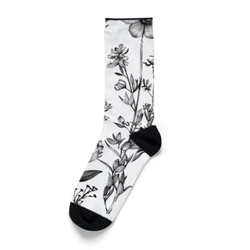 モノクロームの植物図鑑 Socks