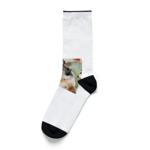 ワイルドドッグ Socks