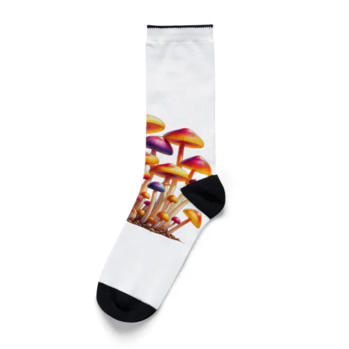 キャンディーキノコ  Socks