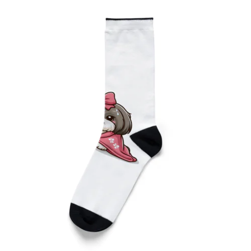 毛布にくるまるシーズー Socks