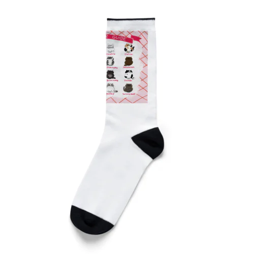 キャットカラーガイド（ねこ図鑑） Socks