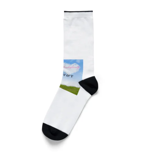 bigbamboofamily Socks