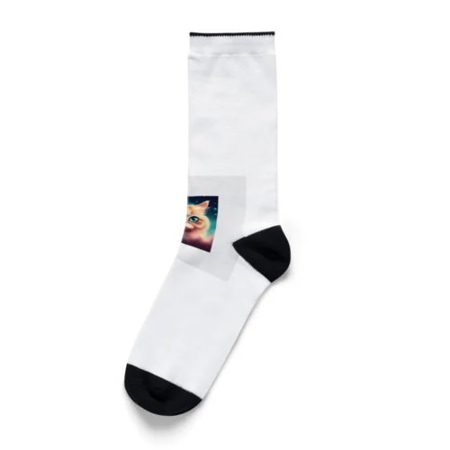 癒しネコ Socks