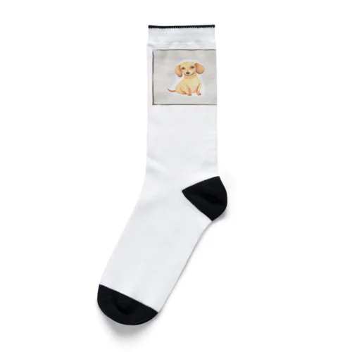 ゆるふわダックスちゃん Socks