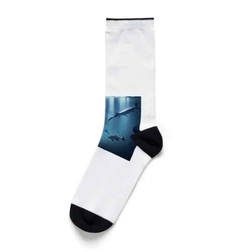 水中 Socks