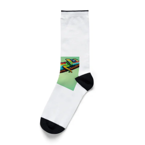 カメレオン Socks