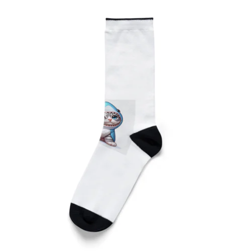 サメのフードを被った子猫 Socks