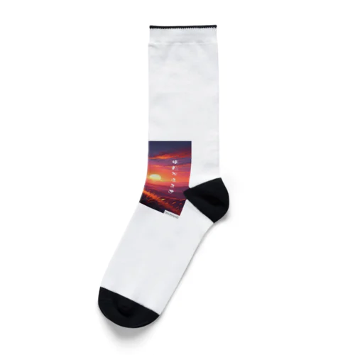 ぴょんとぶんの明日があるさ Socks