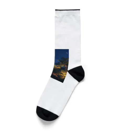 五重塔　なでしこ1478 Socks