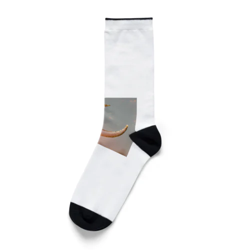 三日月柄 Socks