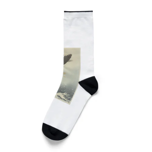 跳ね鯉 (1900 - 1930) Socks