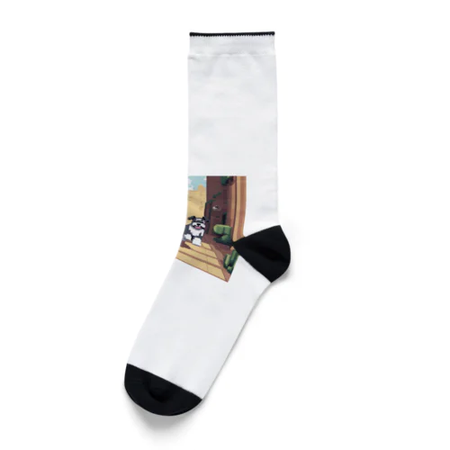 街を走るシュナウザー Socks