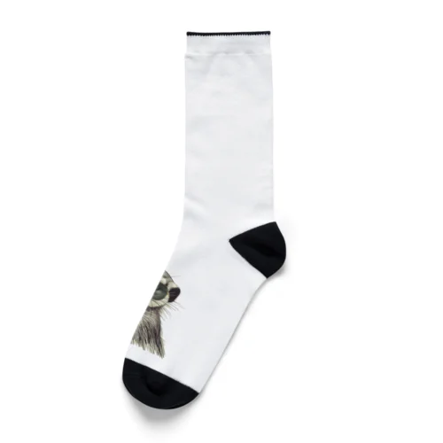 ミーヤキャットさん Socks