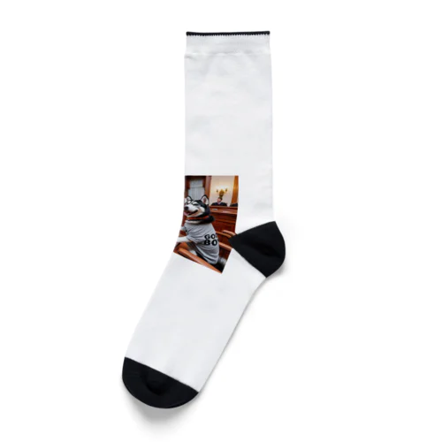 裁判参戦GOOD BOY Socks