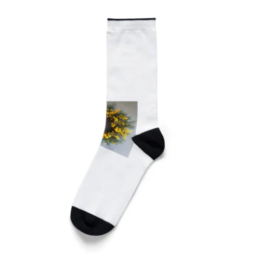 ミモザの花をりース　なでしこ1478 Socks