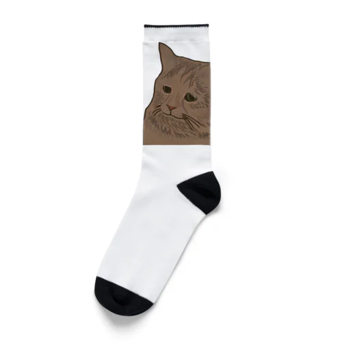 名コンビ Socks