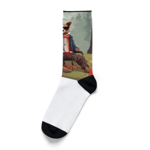 ベテランキャンパー犬 Socks