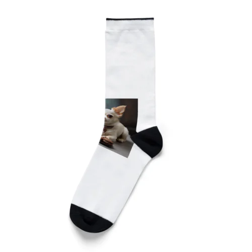 チワワと一緒に楽しむアフタヌーンティータイム！ Socks