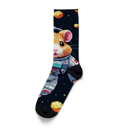 宇宙ハムスター　ハミー Socks