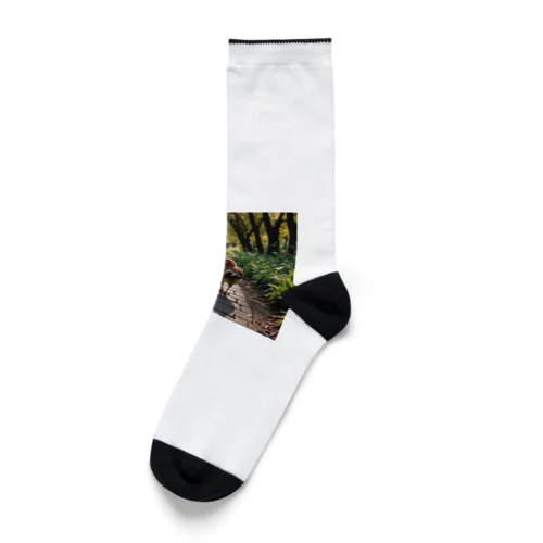 僕らは親子 Socks