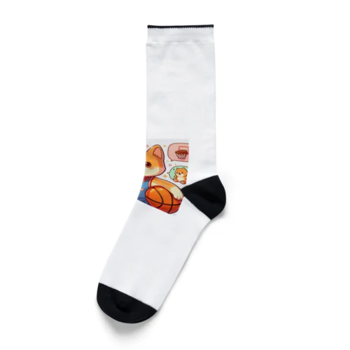 バスケットボール犬　SHBEN Socks