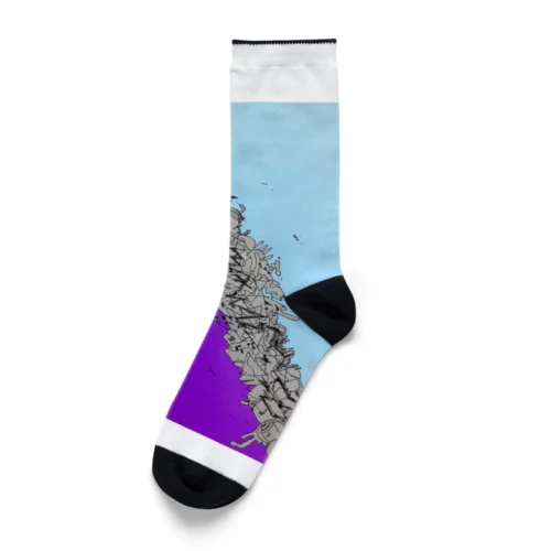 紫浄土 Socks