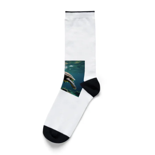 ウミガメ Socks